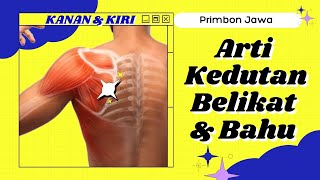 Arti kedutan belikat dan bahu, ada hal baru dalam kehidupan kita