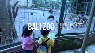 Explore Bali Zoo | Akhir Tahun 2022 | Gilang Dhika n Caca