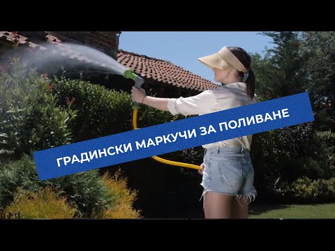 Видео: Макара Canary: видове и характеристики