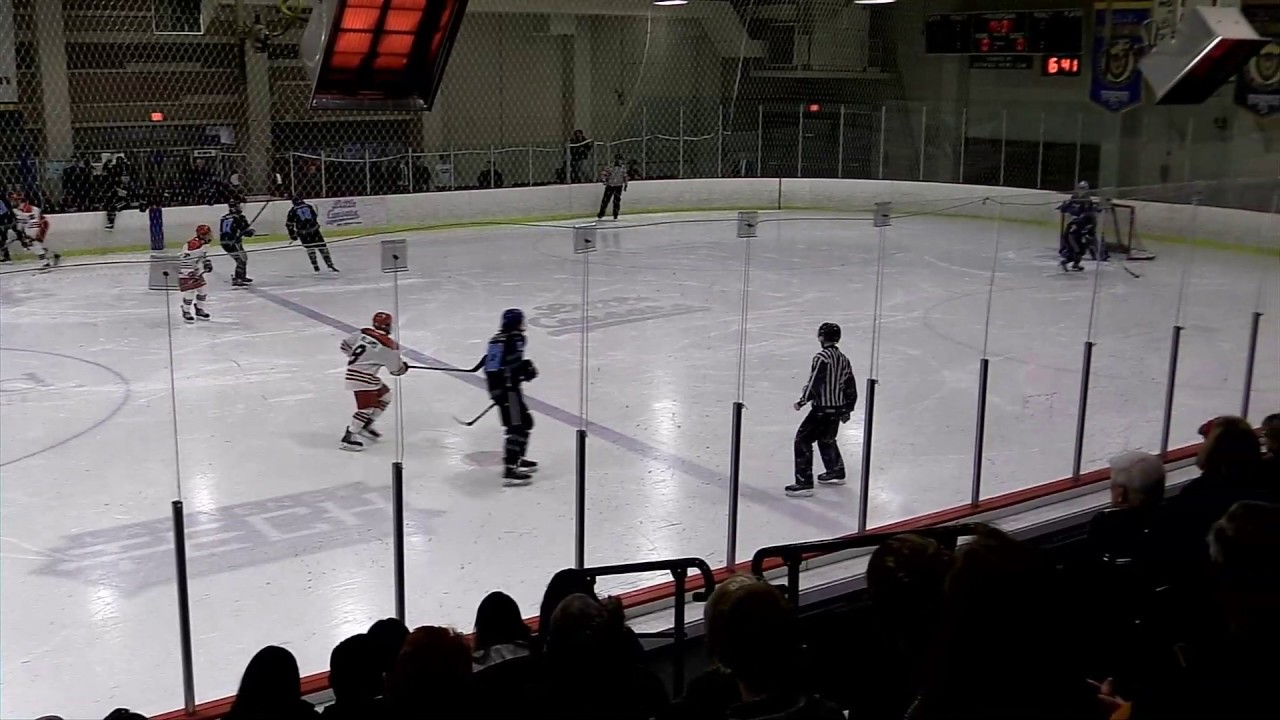 Hockey NAIHA | LTU vs Concordia University 2/15/19 | Partial Game