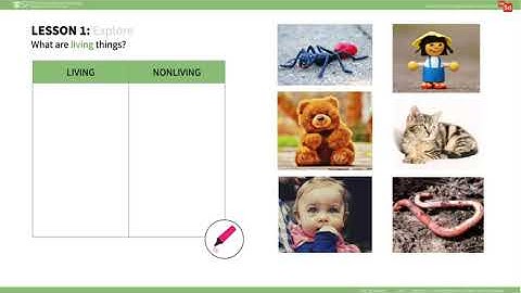 mySci 6 0 U1L1 Summary