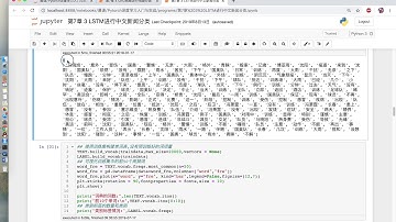 Pytorch深度学习 7－3 LSTM进行中文文本分类