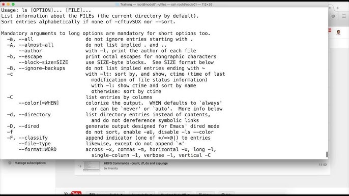 HDFS Commands - count, df, du and expunge - YouTube