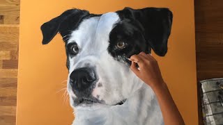 Dog Speed Painting Acrylic Painting Timelapse