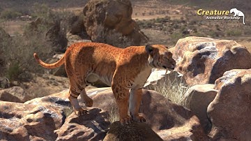 CAW Creature Animation Workshop works Jose Sabretooth tiger