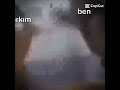 kedi halimiz