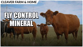 Prevent Fly Breeding with Purina® Wind and Rain® Fly Control | Cleaver Farm & Home