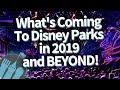 Things WILL Be Different in Disney Parks in 2019!