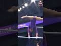 23 段違い平行棒 体操女子 JPN UB TF UK2