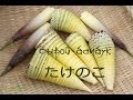 Сырой Бамбук - Такэноко (рецепт) | Tonya Ogino