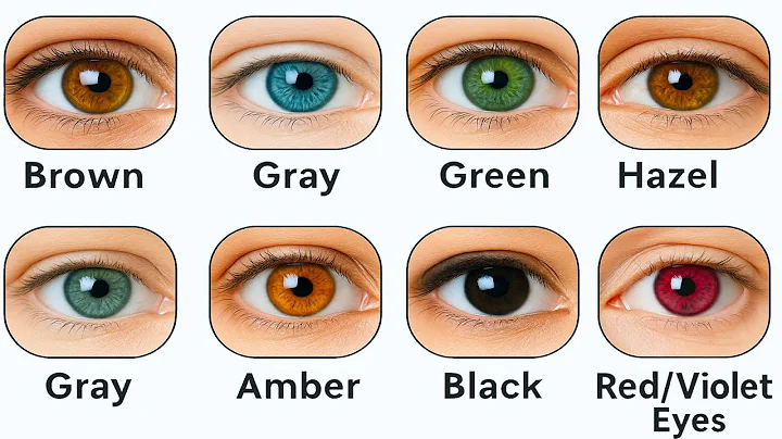 👀👁️ Every Type of Human Eye Color Explained