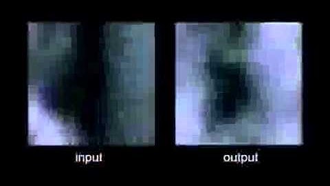 Visual data from cat