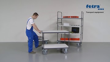 fetra ESD (Electrostatic Discharge)