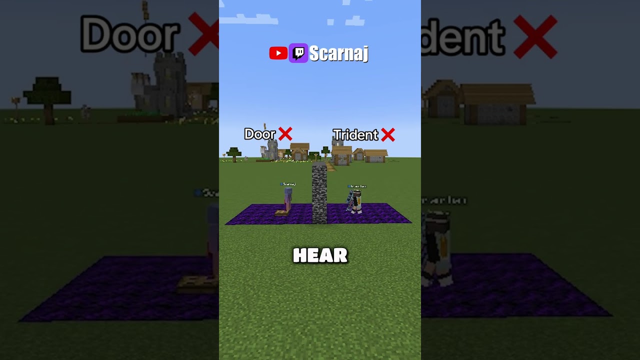 MINECRAFT BUT CAN YOU GUESS THE ITEM?