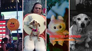 My favorite film cameras and photos!! 35mm, 120mm, 4x5in, instant film :)