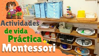 Actividades de vida práctica Montessori (36 años)