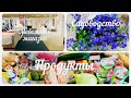 Покупки цветов 🌺💐🌸🌹/Дорогой Мебельный магазин 🙈🙈 / Продукты Lidl на 134 евро 💶