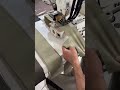jack jk 4412P clynderbed elastic machine bone making #shortsvideo #sewing#trending #automobile#viral