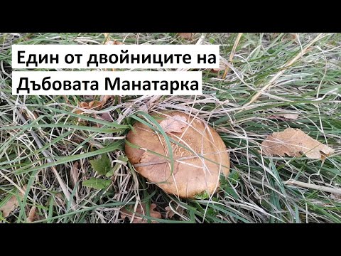 Видео: Как да изчислим галони (със снимки)