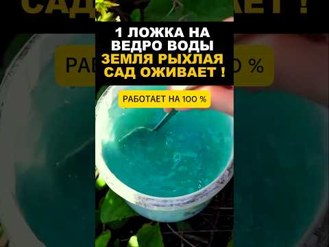 1 ложка этого