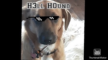 100 levels in 33 minutes- Roller splat #1