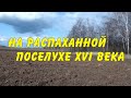 *21*  НА РАСПАХАННОЙ ПОСЕЛУХЕ XVI ВЕКА.