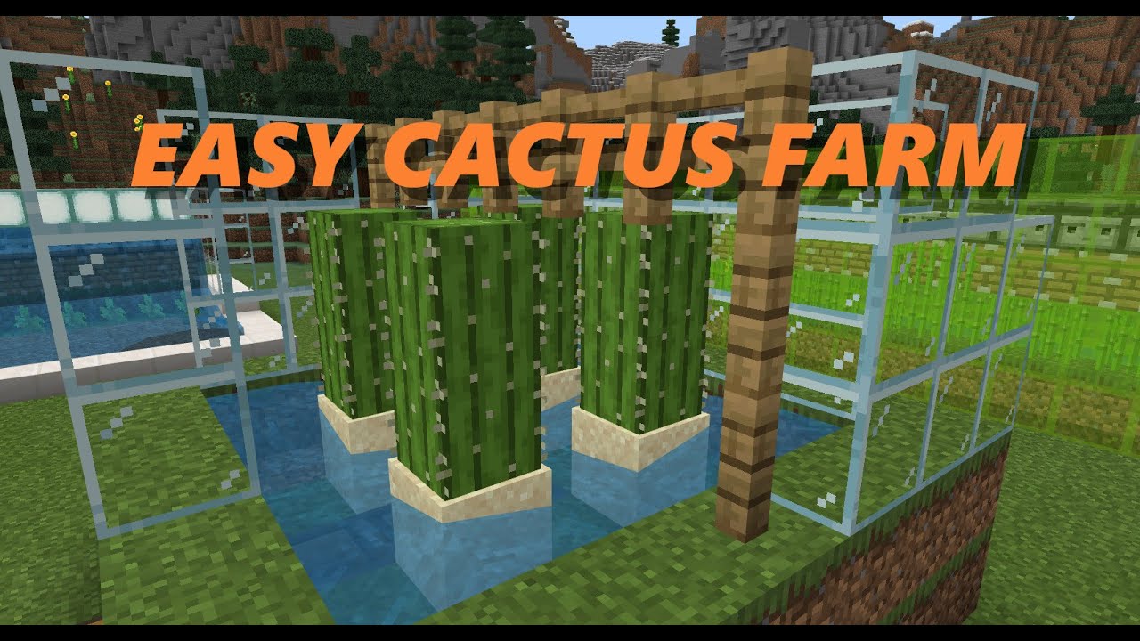 !!EASY!! Minecraft Cactus Farm (Minecraft Bedrock/Windwows 10) - YouTube