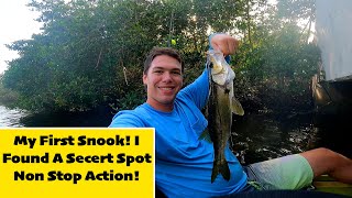 My First Snook! I Found A Secret Spot Non Spot Action by 24-7 Fishing 225 views 1 year ago 9 minutes, 52 seconds