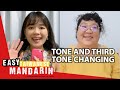 What are the tones and third tone changing in mandarin  easy taiwanese mandarin 33