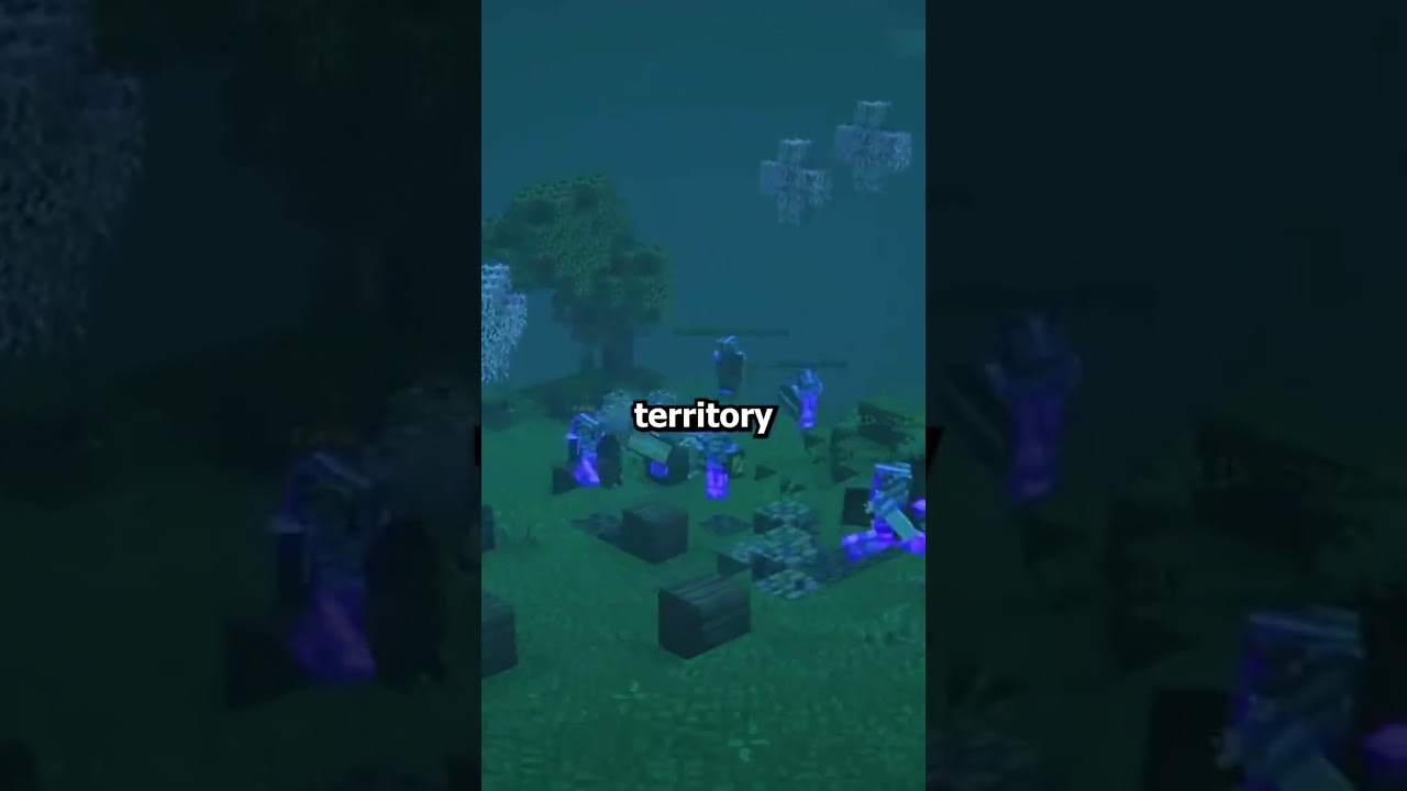 Tiktok Rootmedia MC