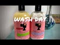 My Complete Wash Day From Start to Finish, Featuring Camille Rose Naturals Hair Products