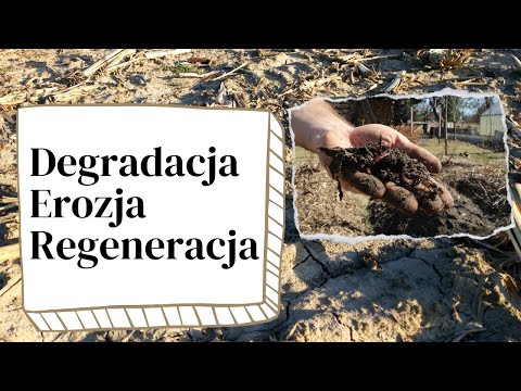 Jaki proces prowadzi do wylesienia i zwiększenia erozji?