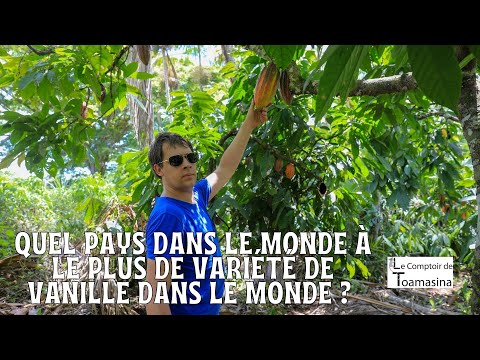Quel pays dans le monde à le plus de variété de vanille dans le Monde  ? Plantation Arnaud Vanille