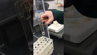Heating test tubes w/ hot plate