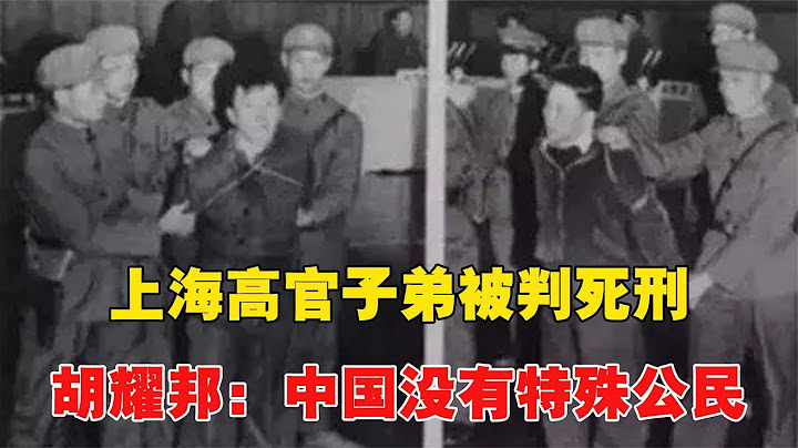 1986年上海高官子弟被判伤刑，胡耀邦亲自批示：中国没有特殊公民 - 天天要闻