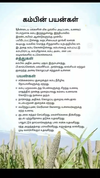 கம்பின் பயன்கள்//health short//health tips//pls subscribe my channel//@kmtamilpharmacist1706