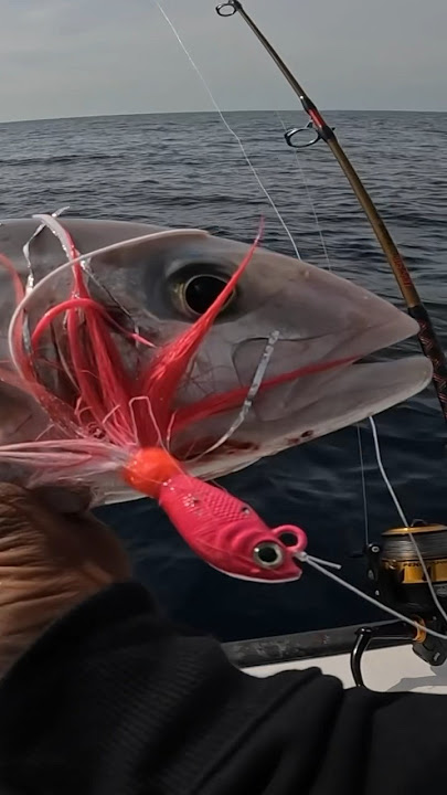 Lovertail 2 Snagless weedless bucktail tips - WELCOME TO JAMES