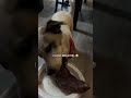 You snooze you lose, even on your birthday(stvrlight.med/tt)