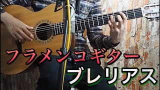 【フラメンコギターの教科書より】flamenco guitar - Bulerias  （フラメンコギター　ブレリアス）