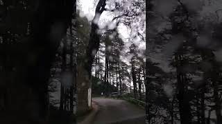 #Network 0% and peace 🌲☁️💯% #himachalpradesh #mountainviews #greenery