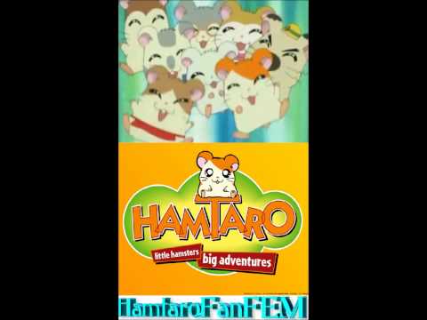Hamtaro Opening 2 Ingles