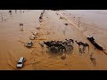 You Won&#39;t Believe This Desert Miracle!! ⚠️ The Saudi desert turns into a large lake