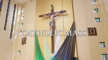 Roman Catholic Mass for October 19th, 2025: Twenty-ninth Sunday in Ordinary Time