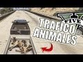 GTA V | TRAFICANDO ANIMALES EN GTA 5 (Grand Theft Auto 5)