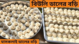 খুব সহজ পদ্ধতিতে বাড়িতেই দিয়ে ফেলুন মাষকলাই ডালের বড়ি | Bori Recipe | বিউলির ডালের বড়ি | ডালের বড়ি