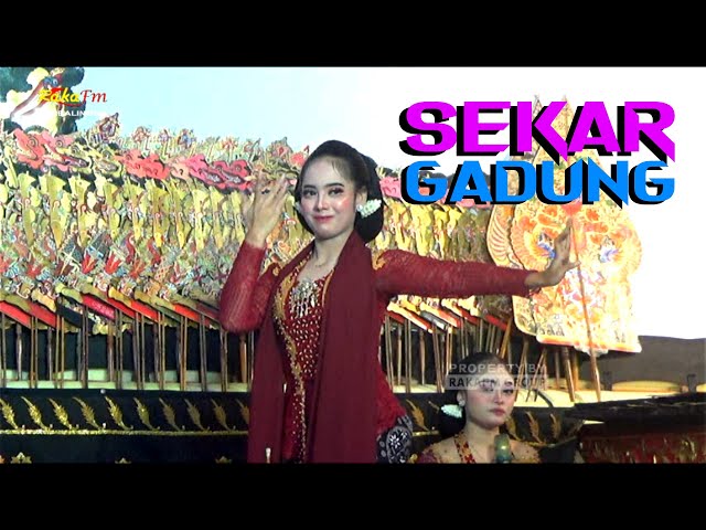 Sekar Gadung Banyumasan || Sekar Bima Dalang Ki Eko Suwaryo Live Kanding class=