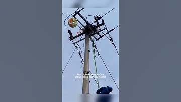 Power Pole Bird Nest Removal  A Closer Look!