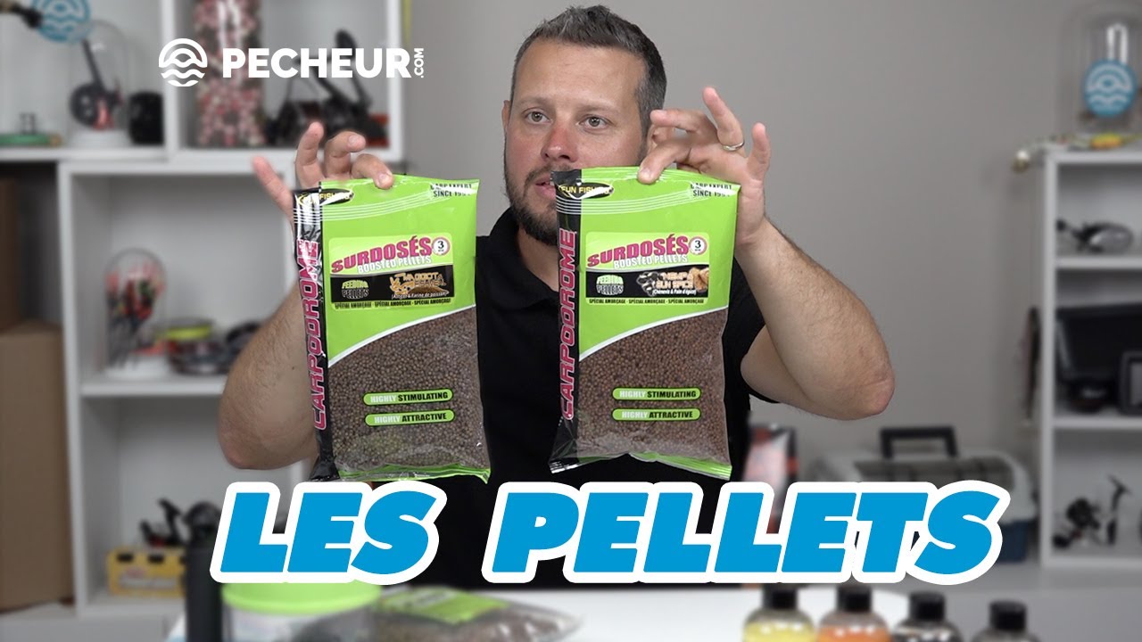 Comment choisir ses pellets pour la pêche de la carpe au coup
