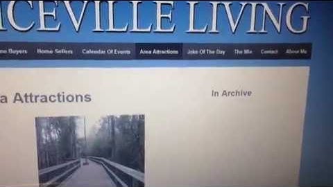 How To Remove "In Archive" In Responsive Theme Wordpress