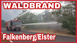 [Bundeswehr und Polizei im Löscheinsatz] Waldbrand bei Falkenberg/Elster wird zur riesen Katastrophe